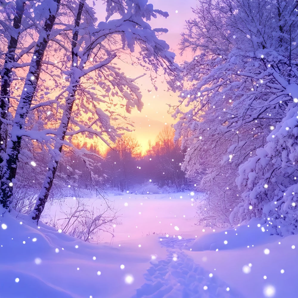 Fond hivernal féérique Fond rose lever de soleil Forêt enneigée Fond hivernal LXX510-92