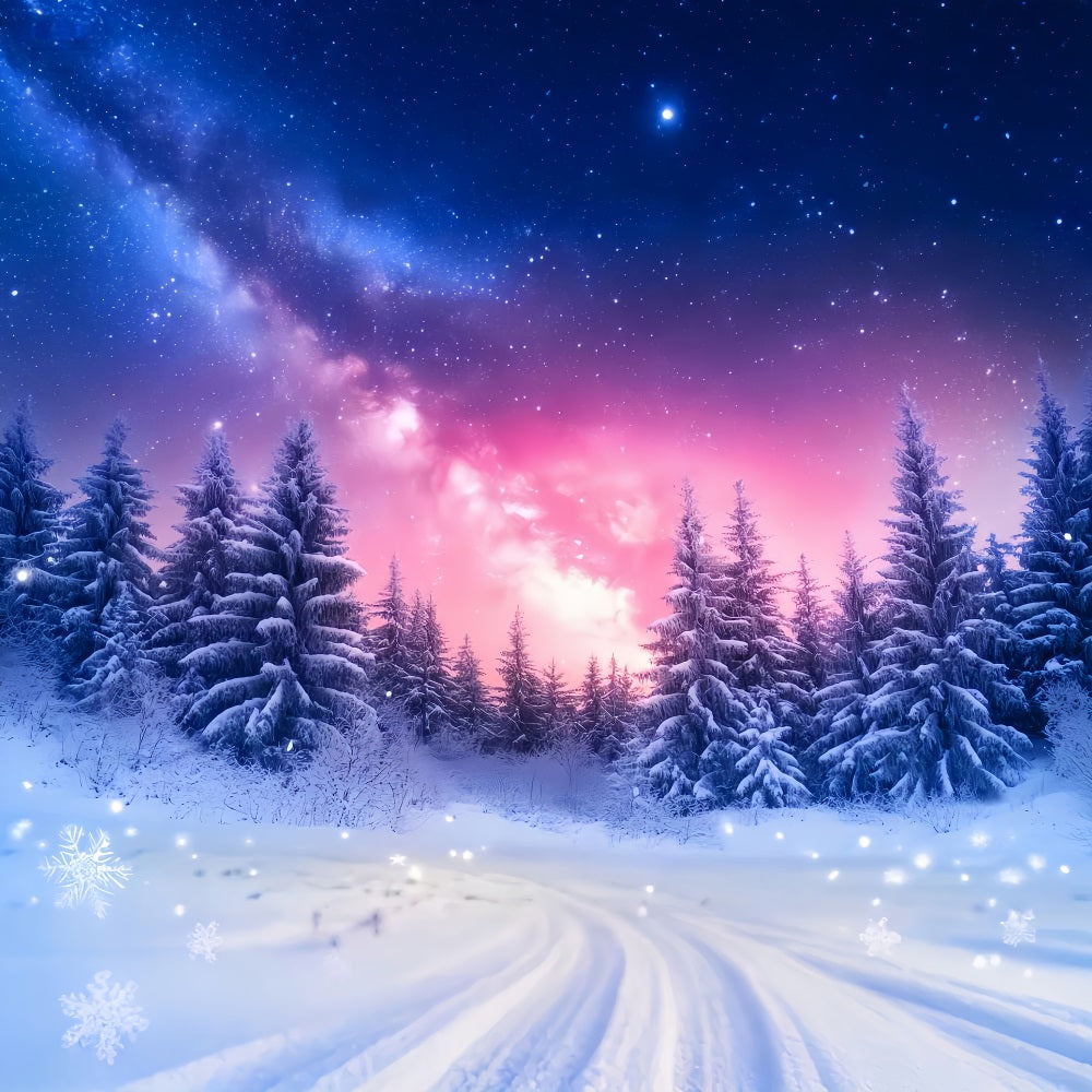 Fond ciel hivernal Forêt enneigée et pins lumineux Fonds photographiques hivernaux LXX510-96