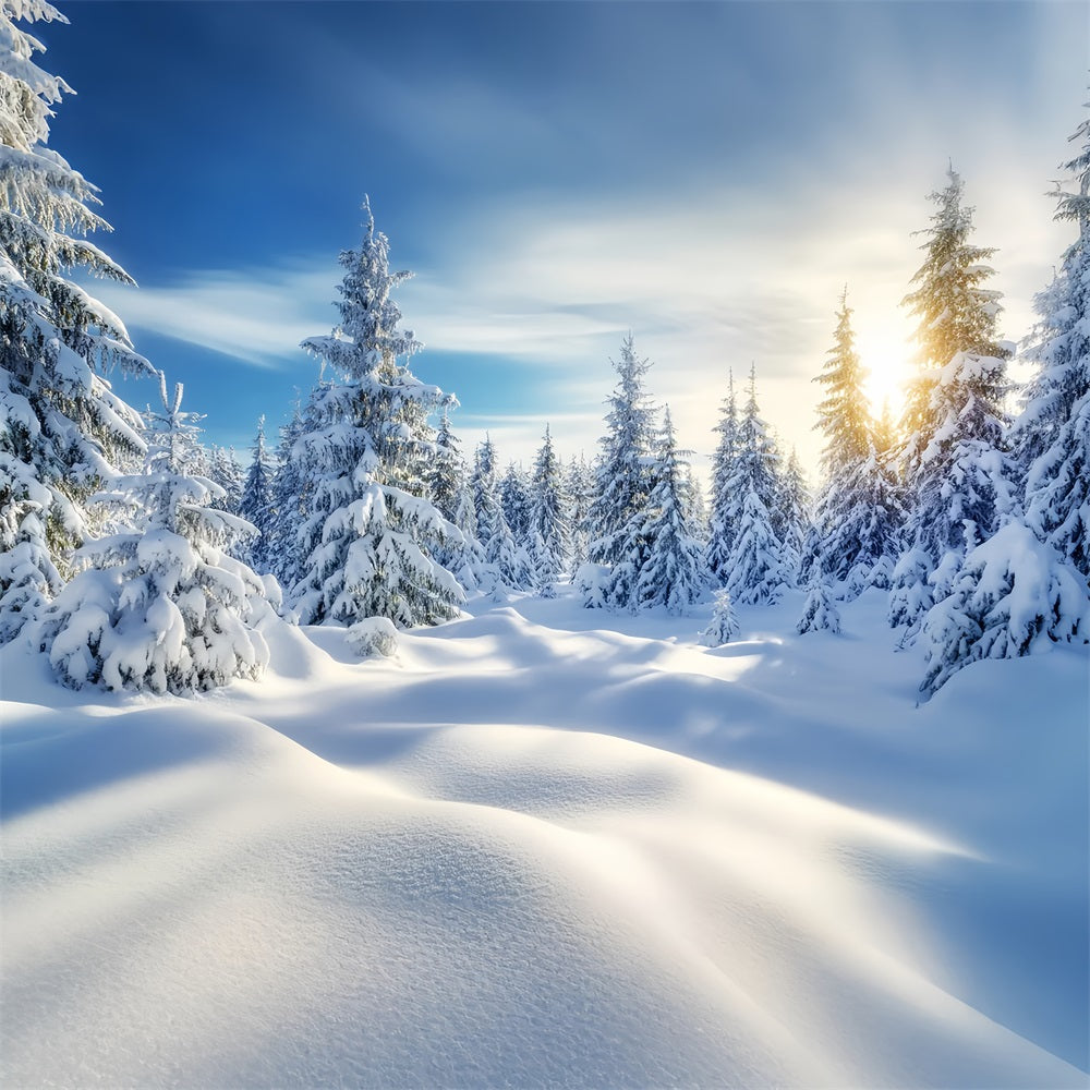 Toile de fond Hiver Lever de Soleil Doré Forêt Enneigée LXX58-239