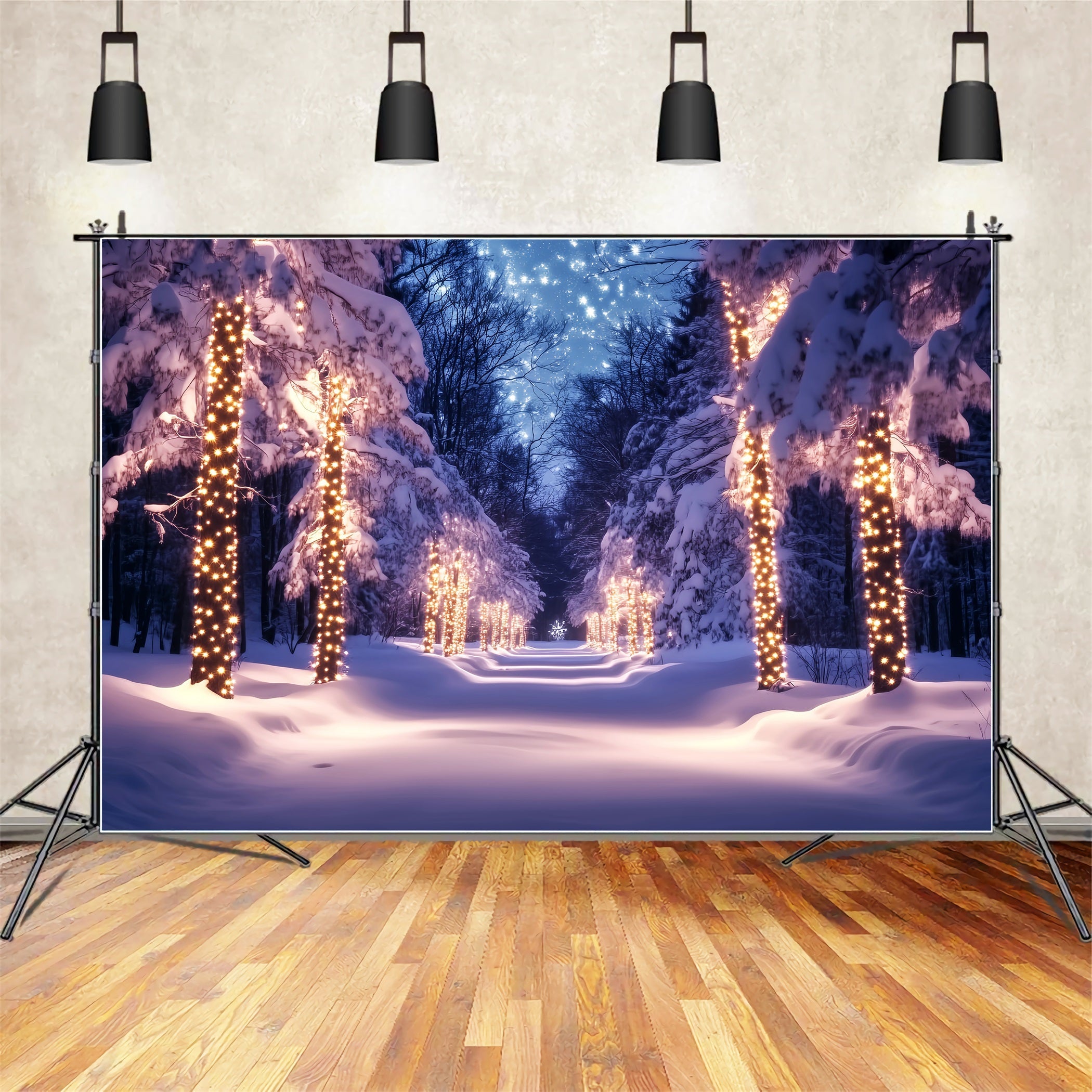 Toile de fond Hiver Chemin Enneigé Lumières Dorées LXX58-241