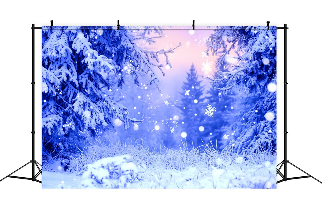 Toile de fond Photo Hiver Givre Bleu Flocons Étincelants LXX58-242