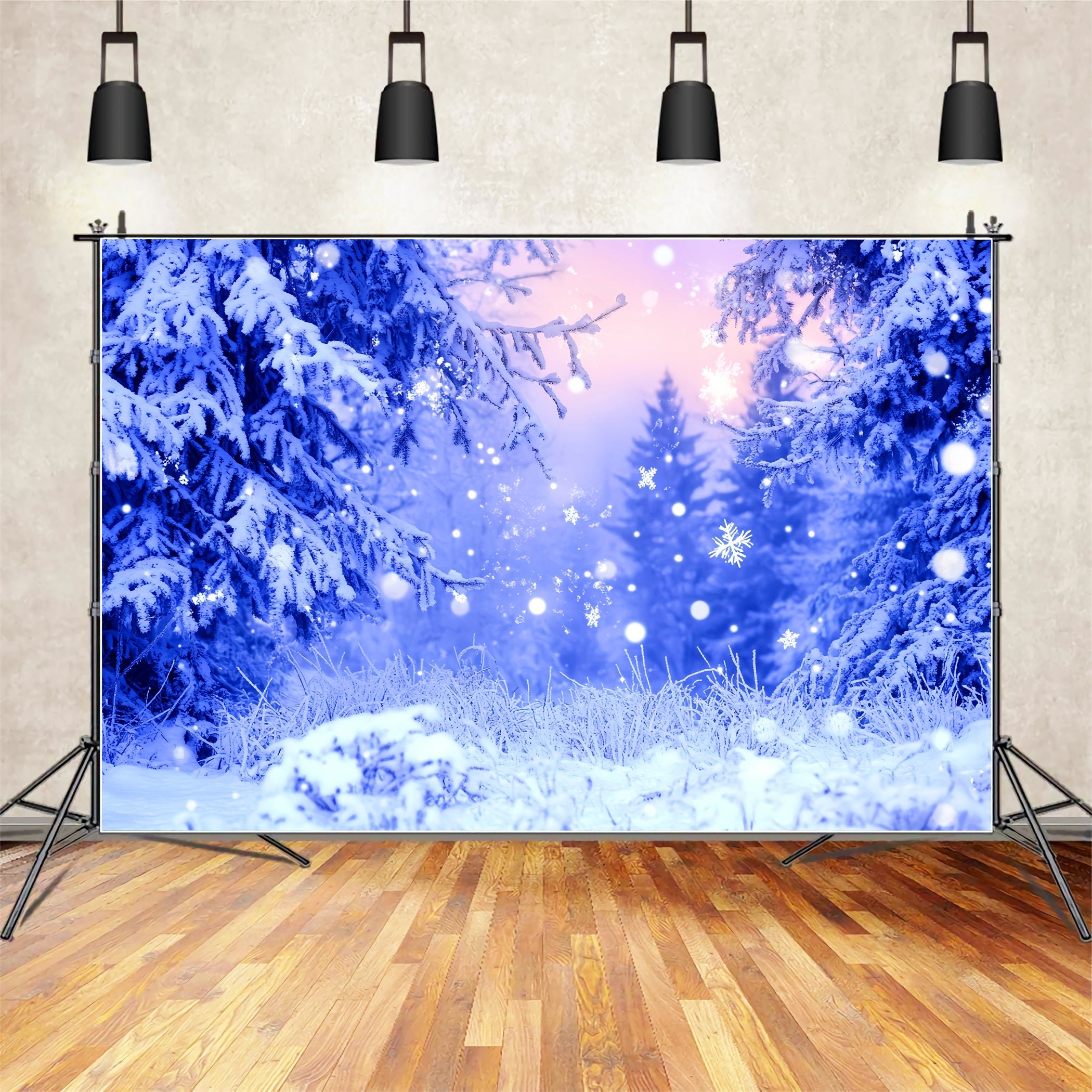 Toile de fond Photo Hiver Givre Bleu Flocons Étincelants LXX58-242