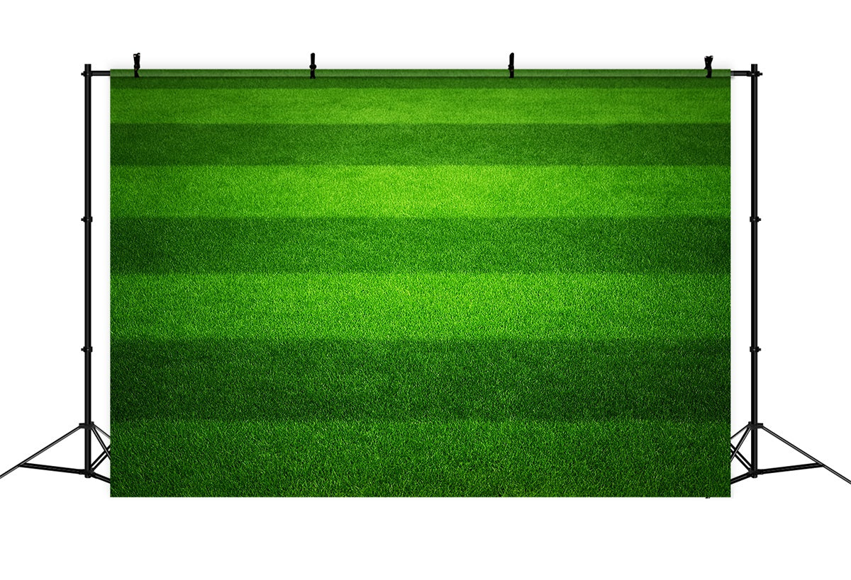 Fond sportif terrain de football à gazon vert rayé LXX59-323