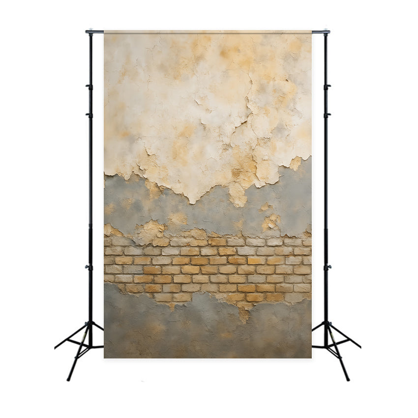 Fond photo béton Texture brique craquelée vintage Fond pour portraits LXX59-416
