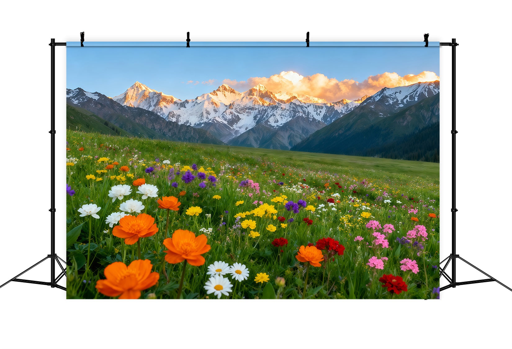 Toile de fond Fleur Vallée Montagne Alpine Champ Fleurs LXX61-178