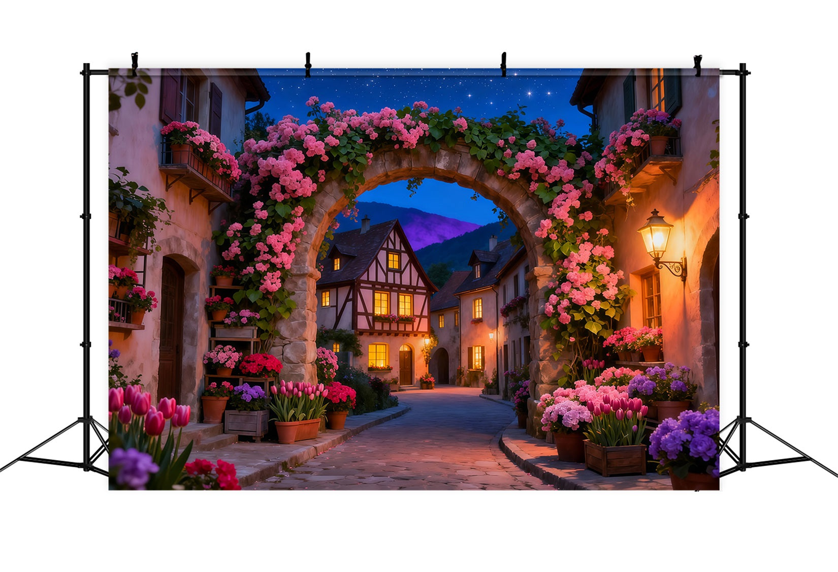 Toile de fond Fleur Arche Fleurs Village Crépuscule LXX61-210