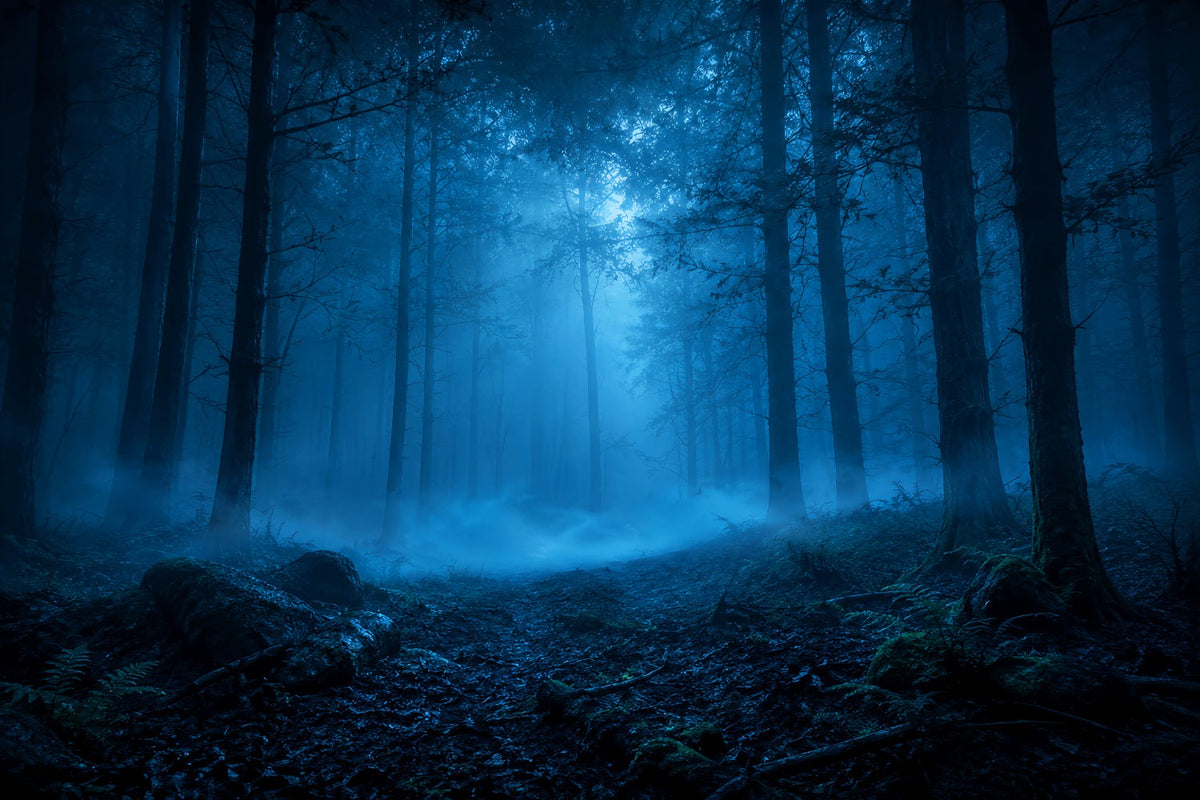 Décor De Forêt D'Halloween Au Clair De Lune Brume Bleue Décor Vintage D'Halloween LXX67-141