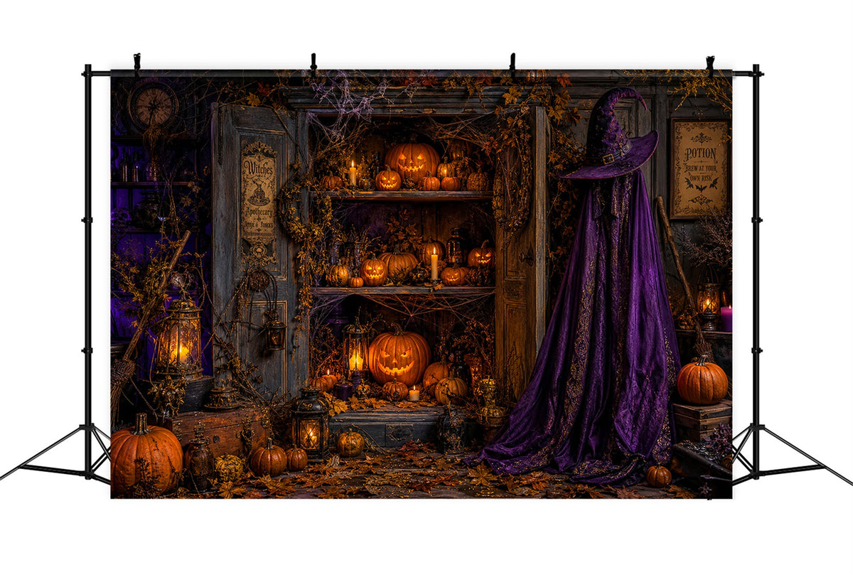 Décor De Fond En Tissu Pour Halloween Sorcière Apothicaire Armoire À Citrouilles Cimetière LXX67-99