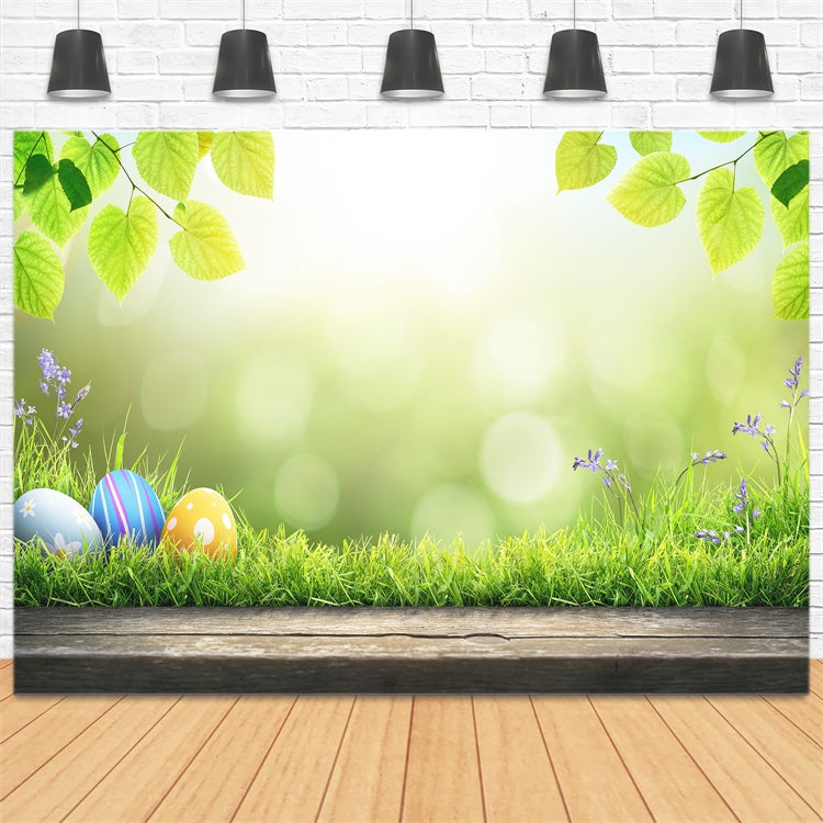 Œufs de Pâques Soleil Vert Pelouse Feuillue Toile de fond M1-35