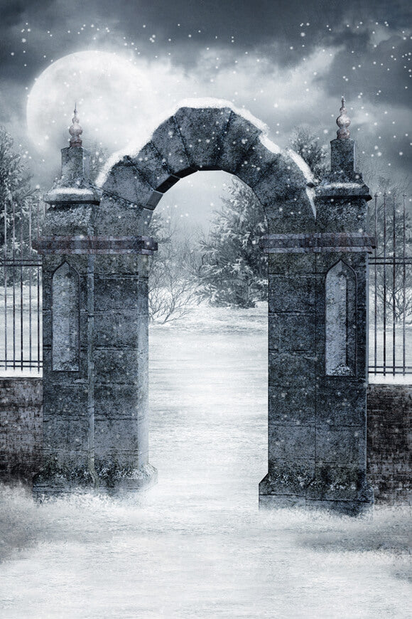 Portes de cimetière Gothiques Enneigées Hivernale Toile de fond M11-04
