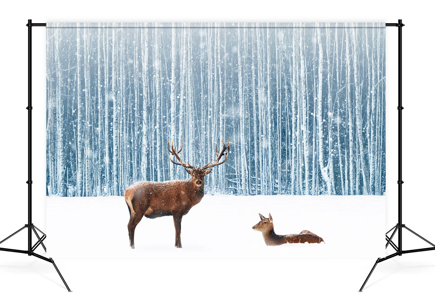 Neige Hiver Forêt Cerf Toile de fond Photographique M11-11