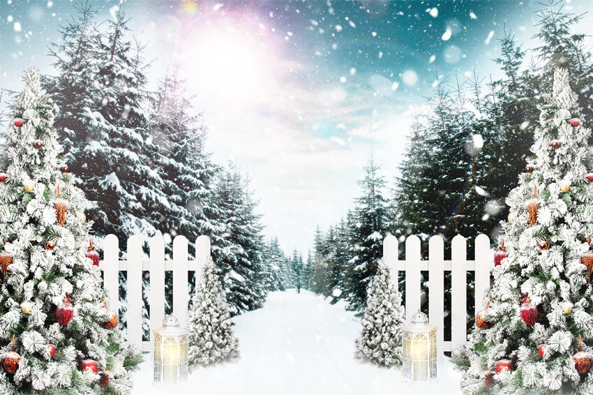 Arbre de Noël Forêt d'hiver Flocon de neige Toile de fond M11-28