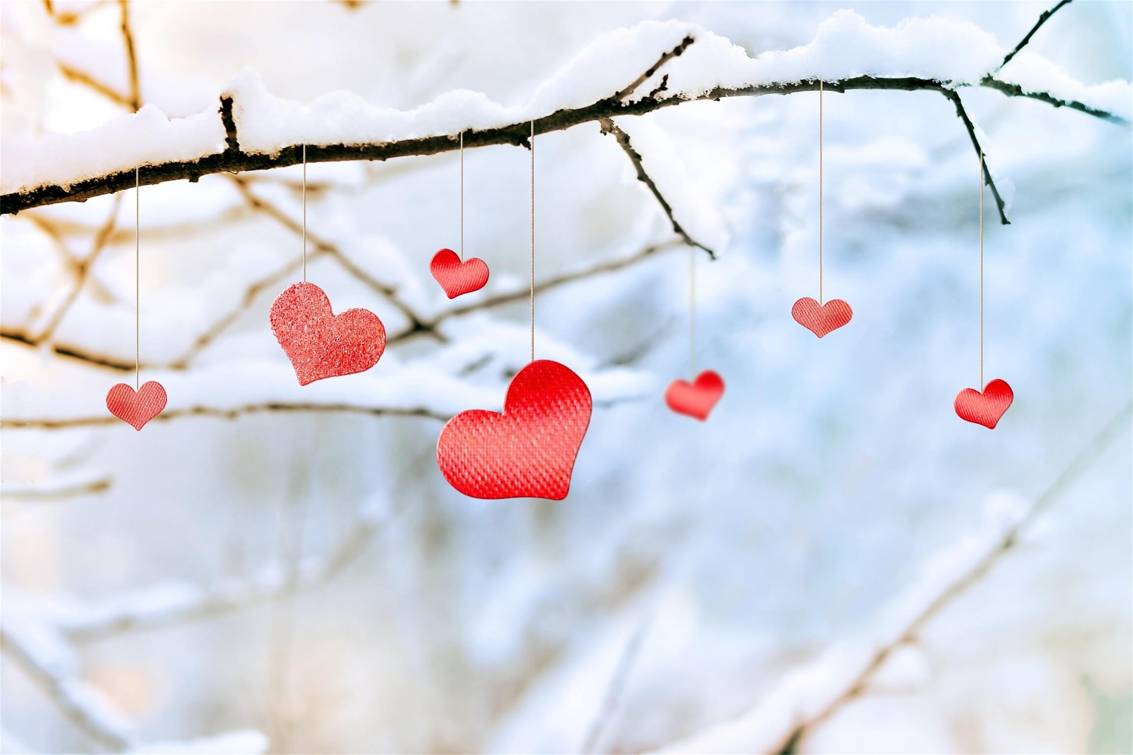 St Valentin Hiver Branche d'arbre enneigée Amour Décoration suspendue Toile de fond M12-17