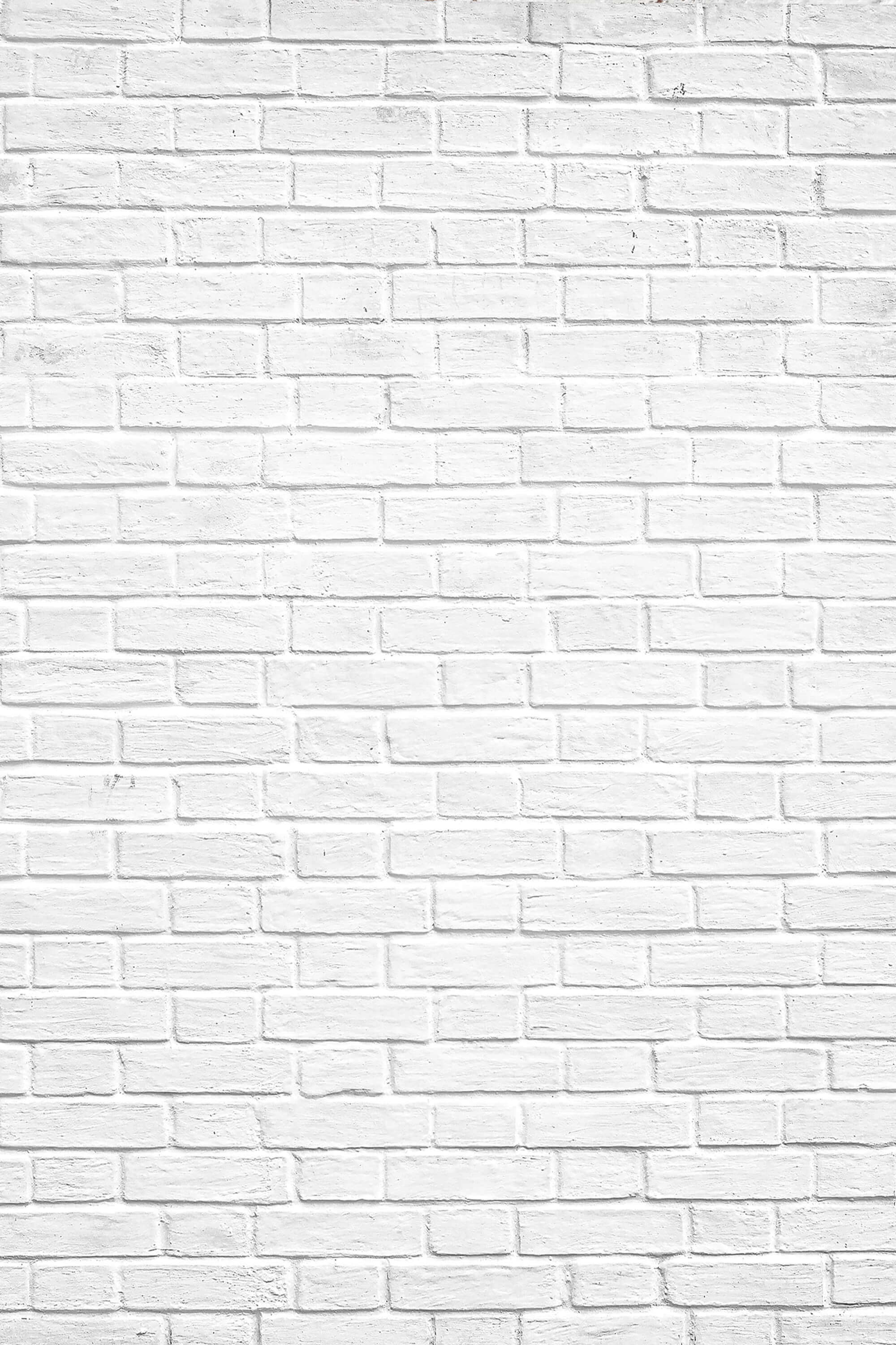 Toile de fond pliable Gris clair/Blanc Mur de briques double face 5x6.5ft (1.5×2M) M12-78