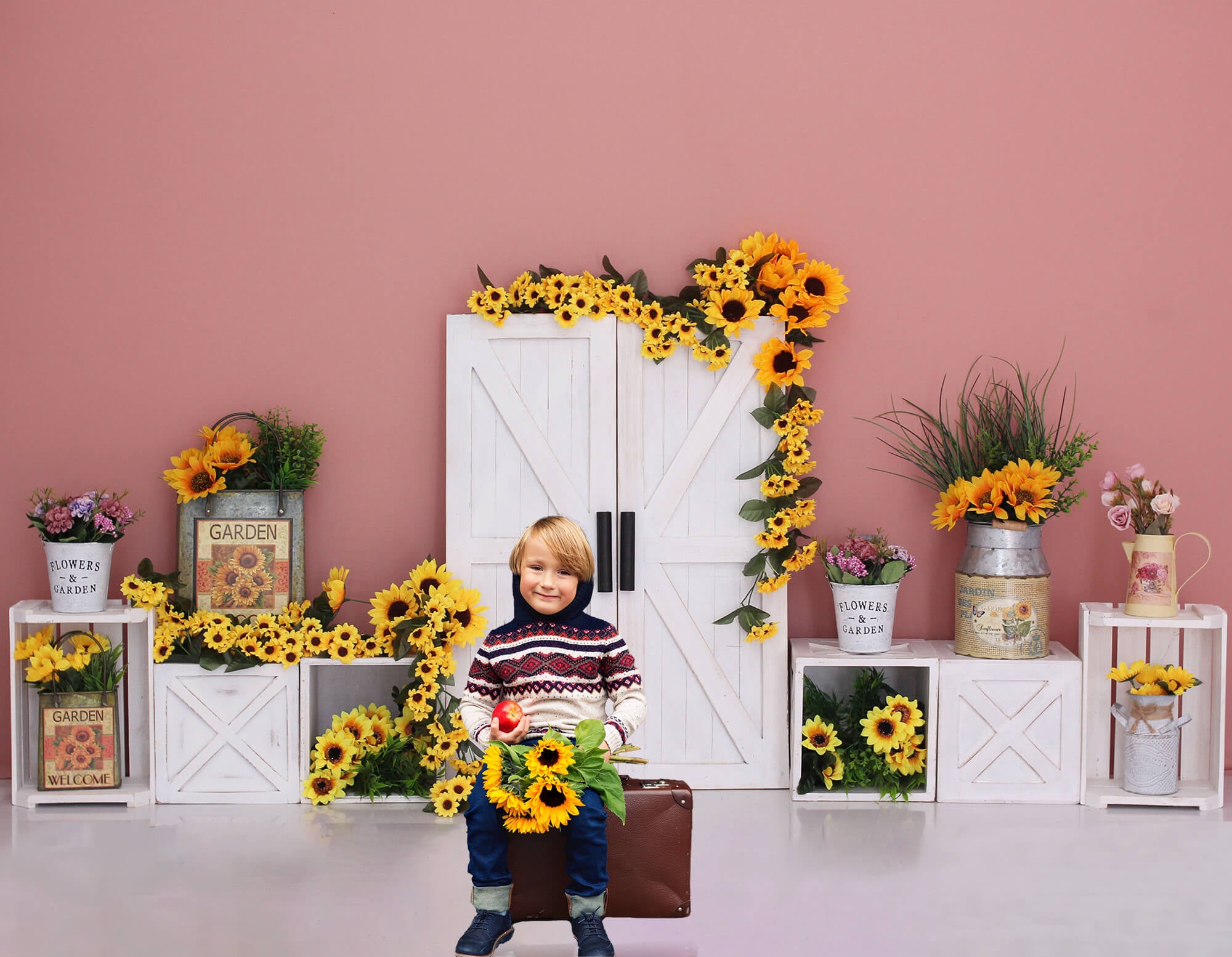 Tournesol Jardin Grange Porte Photographie Toile de Fond M5-137