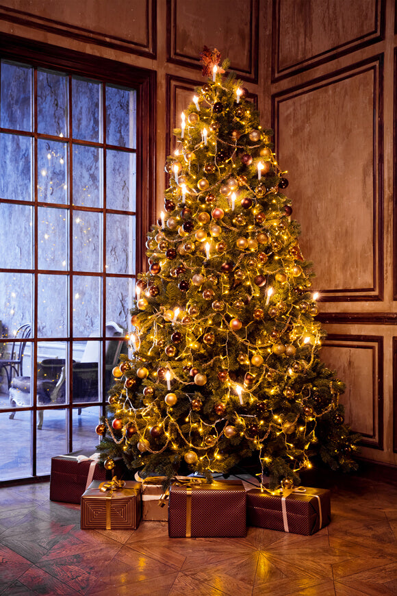 Toile de Fond de Photographie de Fenêtre d'arbre de Noël M7-15