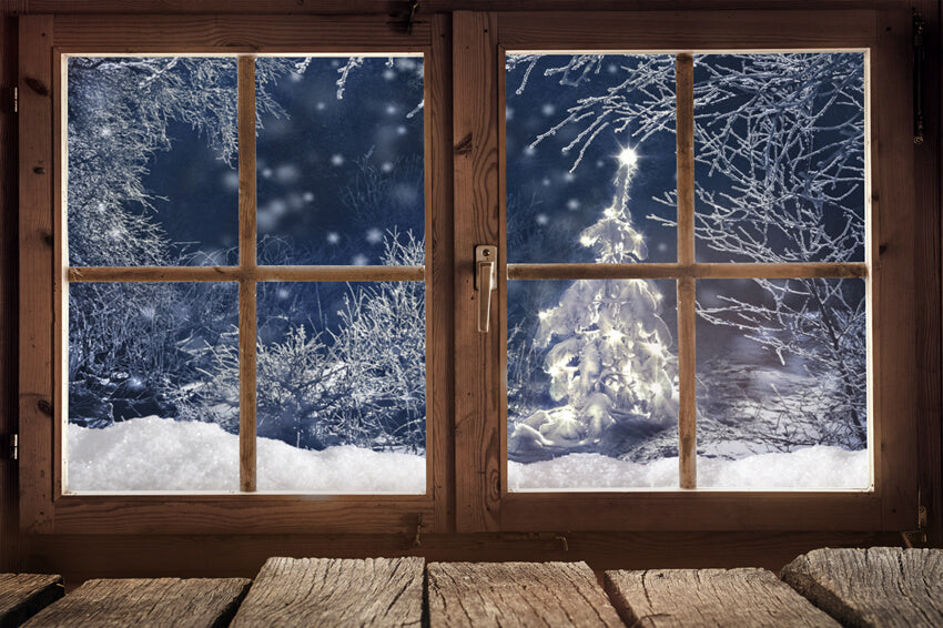 Toile de Fond de Paysage de Fenêtre de Forêt Enneigée d'Hiver M7-19