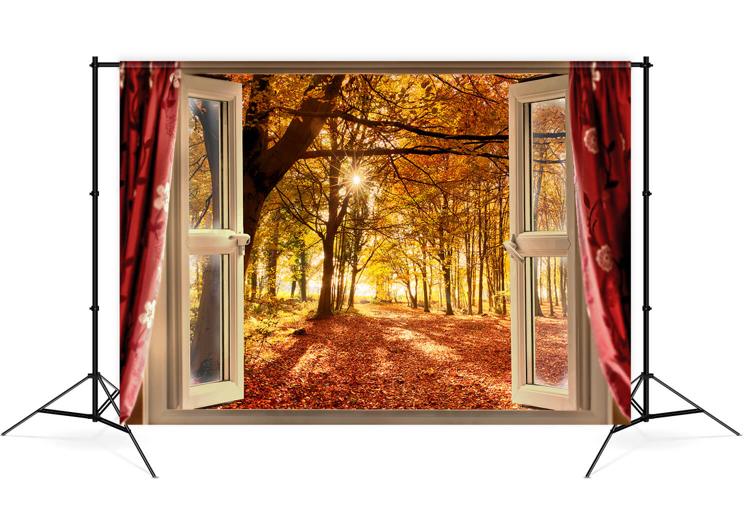 Automne Forêt Lever du Soleil Fenêtre Paysage Toile de Fond M7-81