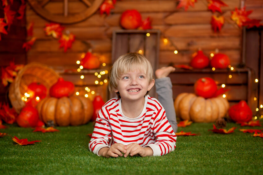 Thanksgiving Citrouilles Automne Photographie Toile de Fond M7-82