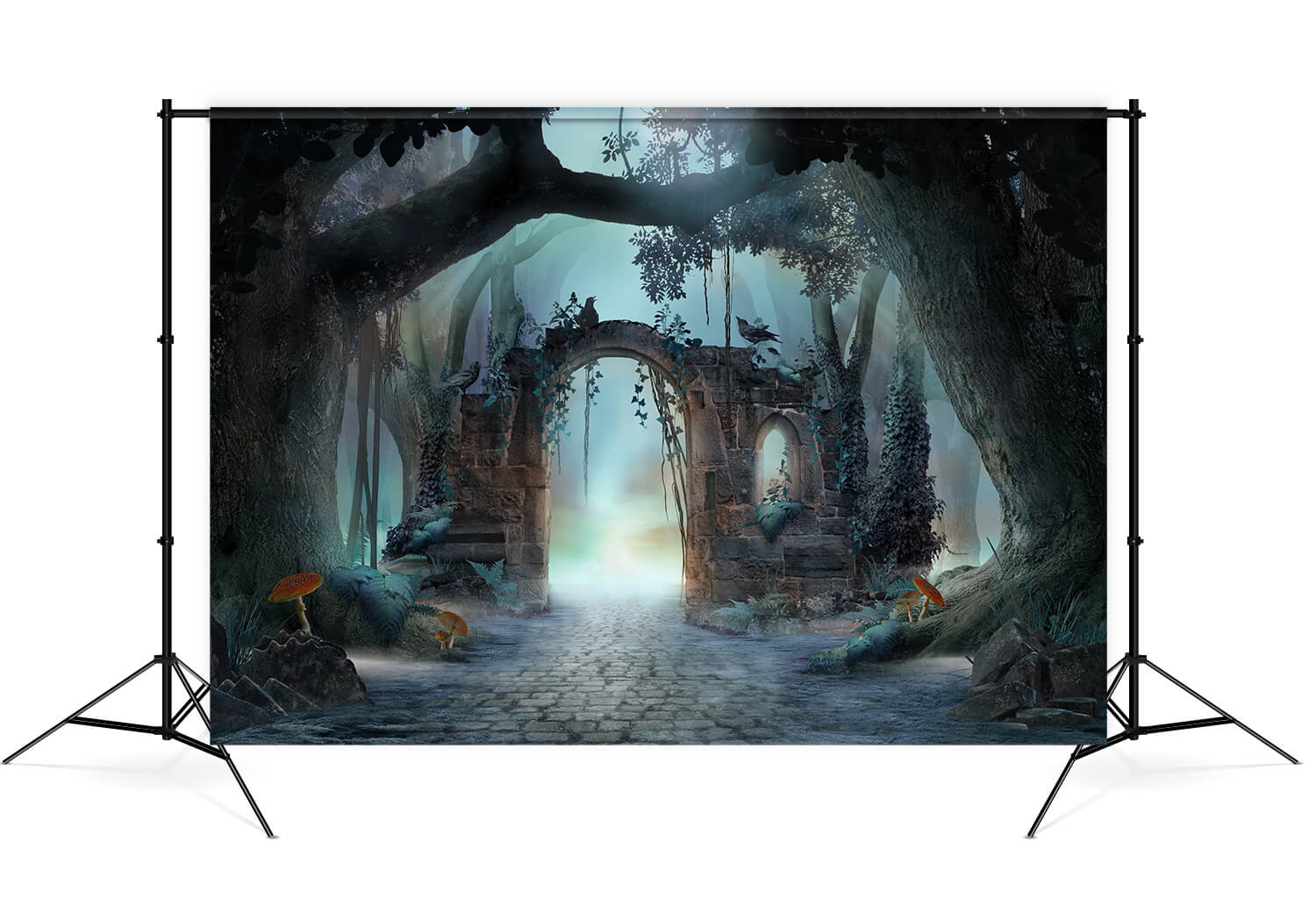 Toile de Fond Forêt Brumeuse Arche Gigantesque Champignons M8-14