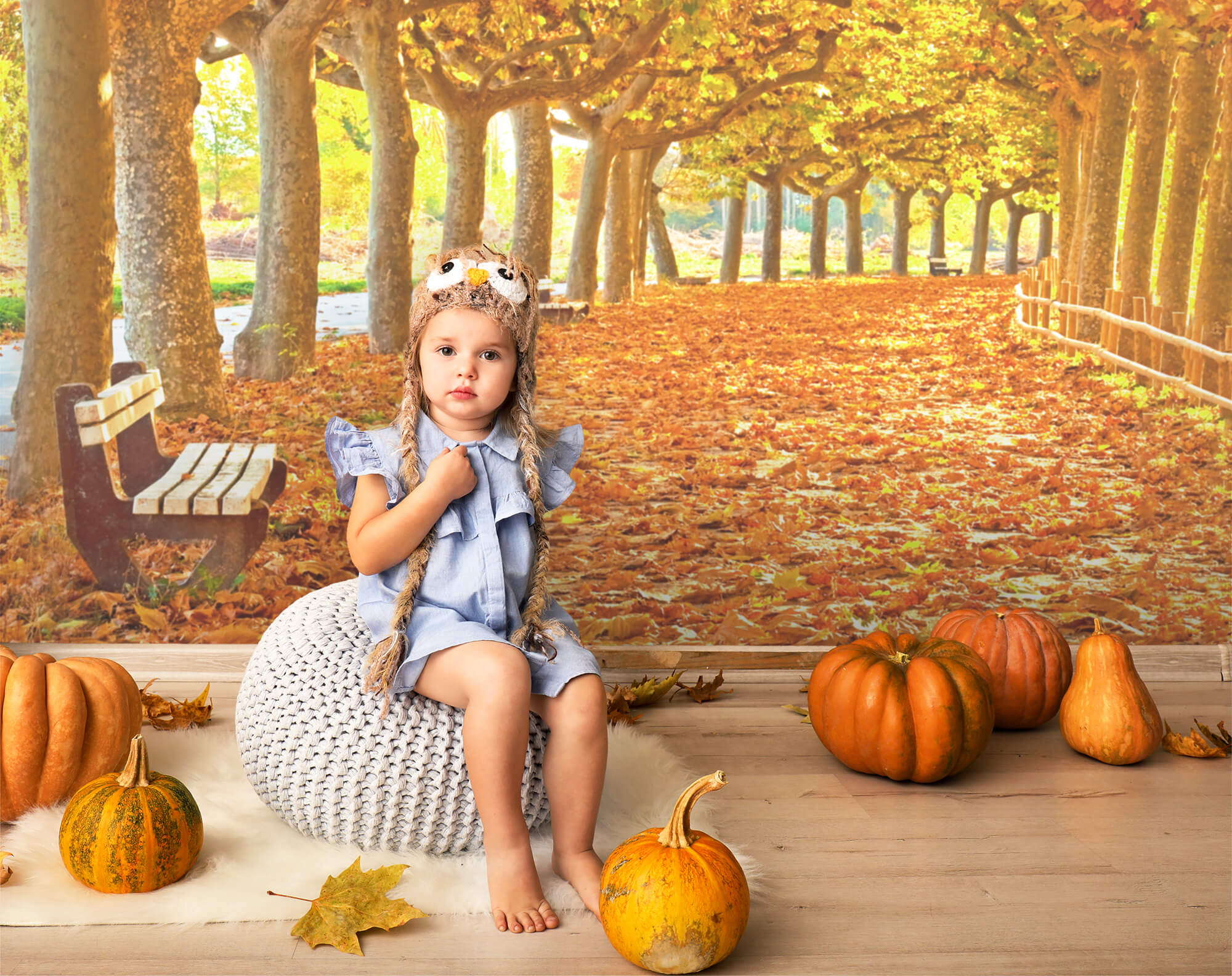 Toile de Fond Feuilles d'Erable d'Automne Chemin  pour photo M8-29