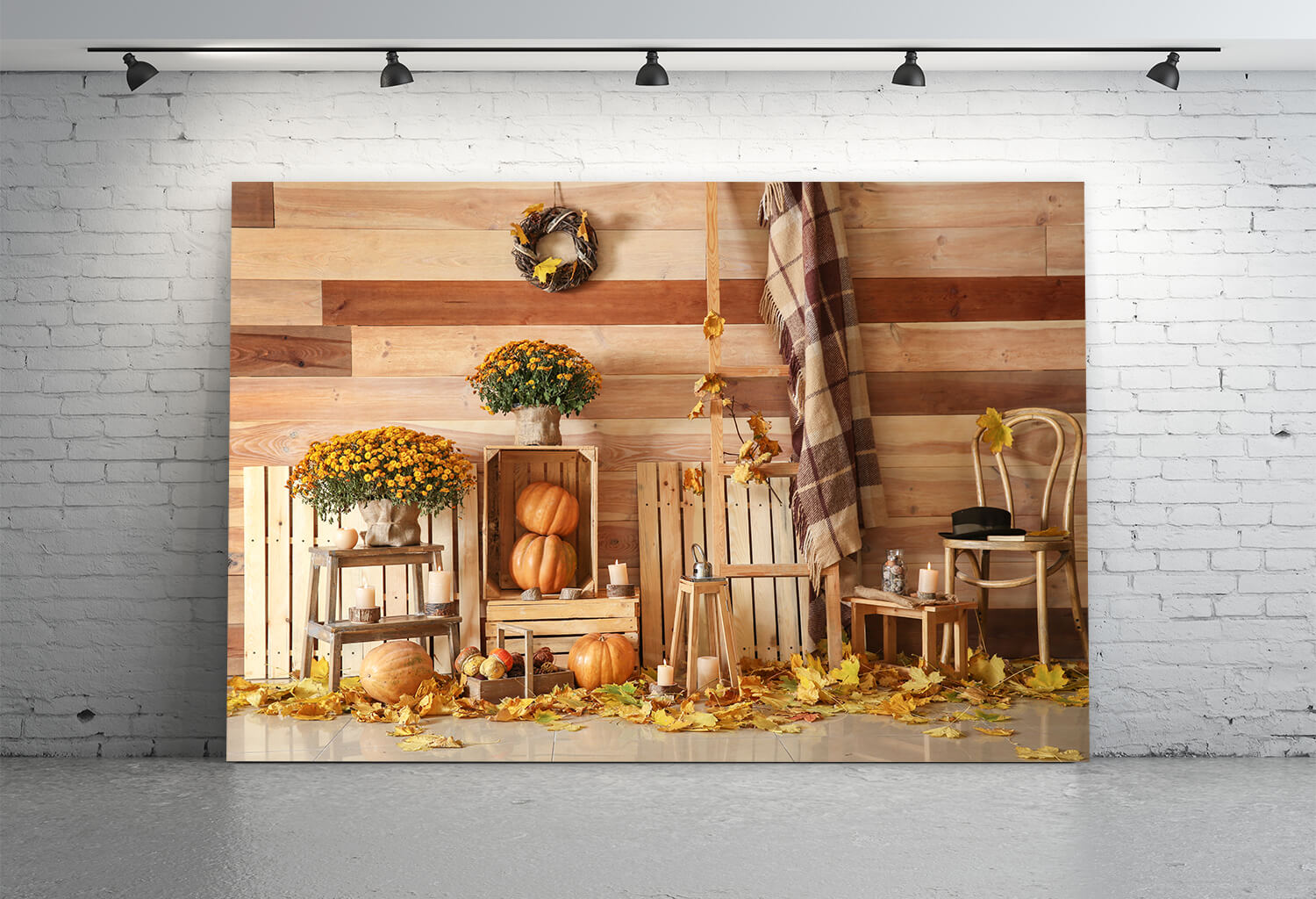 Toile de Fond Moisson d'Automne Citrouilles  pour Photo M8-32