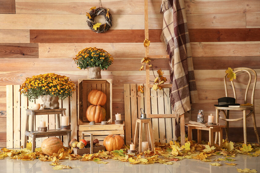 Toile de Fond Moisson d'Automne Citrouilles  pour Photo M8-32