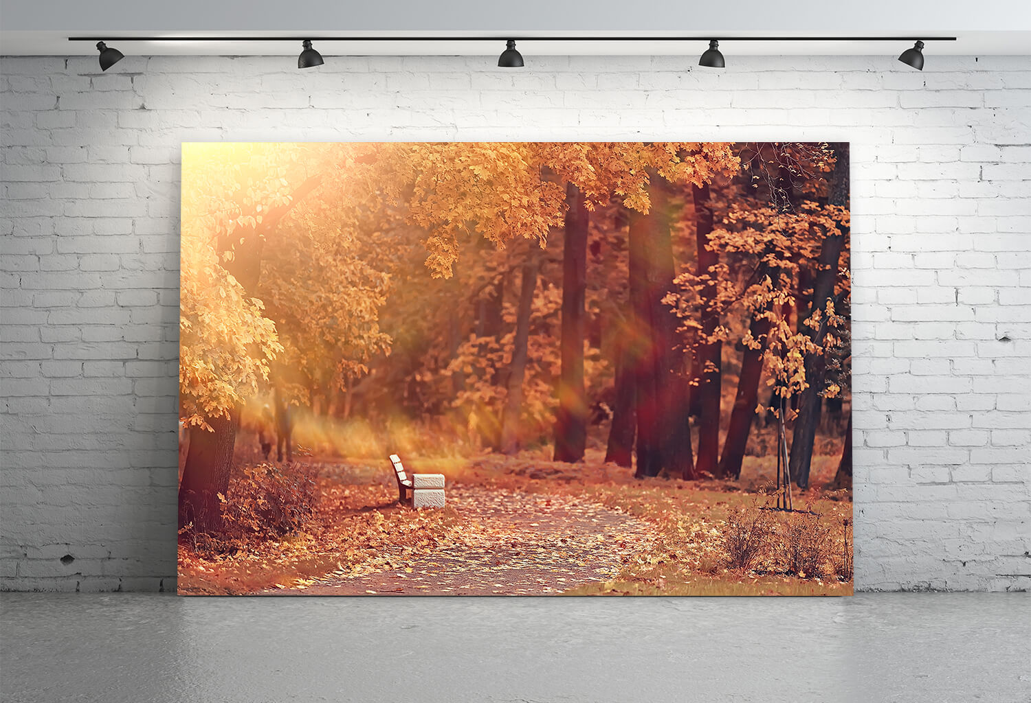 Toile de Fond en Feuilles d'Erable du Parc d'Automne M8-34