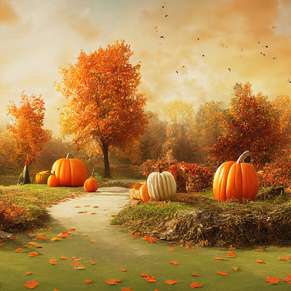 Toile de Fond Automne Citrouilles pour Photo M8-46