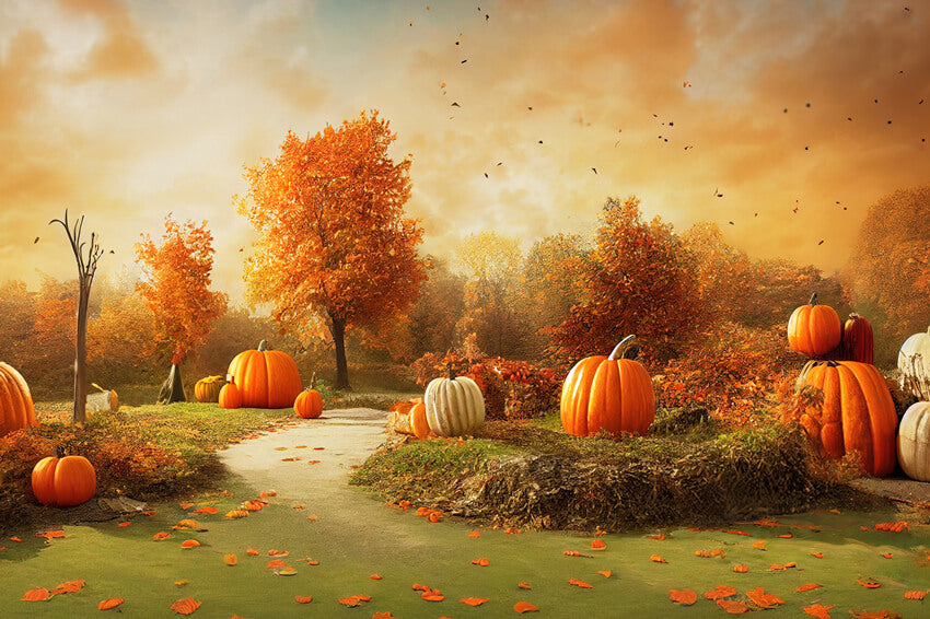 Toile de Fond Automne Citrouilles pour Photo M8-46