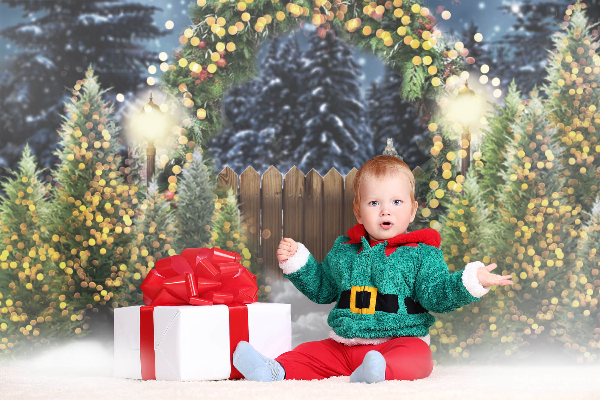 Toile de Fond Arche de Noël Etincelante pour Photographie M8-75