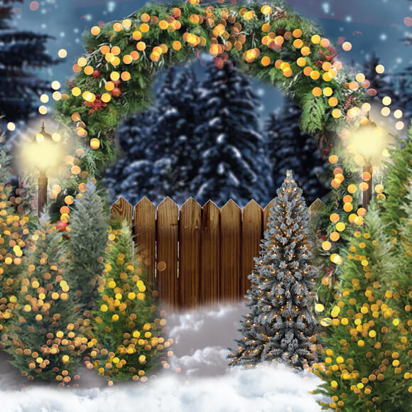 Toile de Fond Arche de Noël Etincelante pour Photographie M8-75
