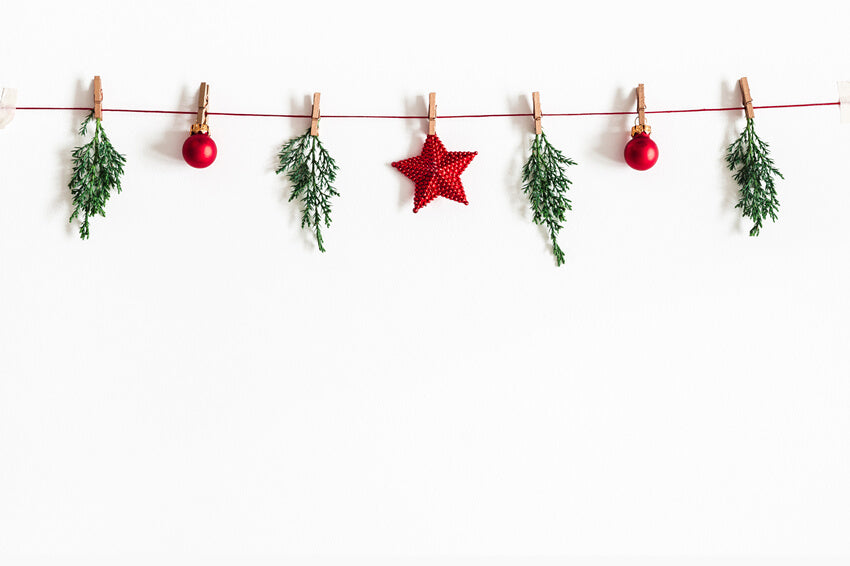 Toile de Fond Guirlande de Noël Décoration Photographique M8-81