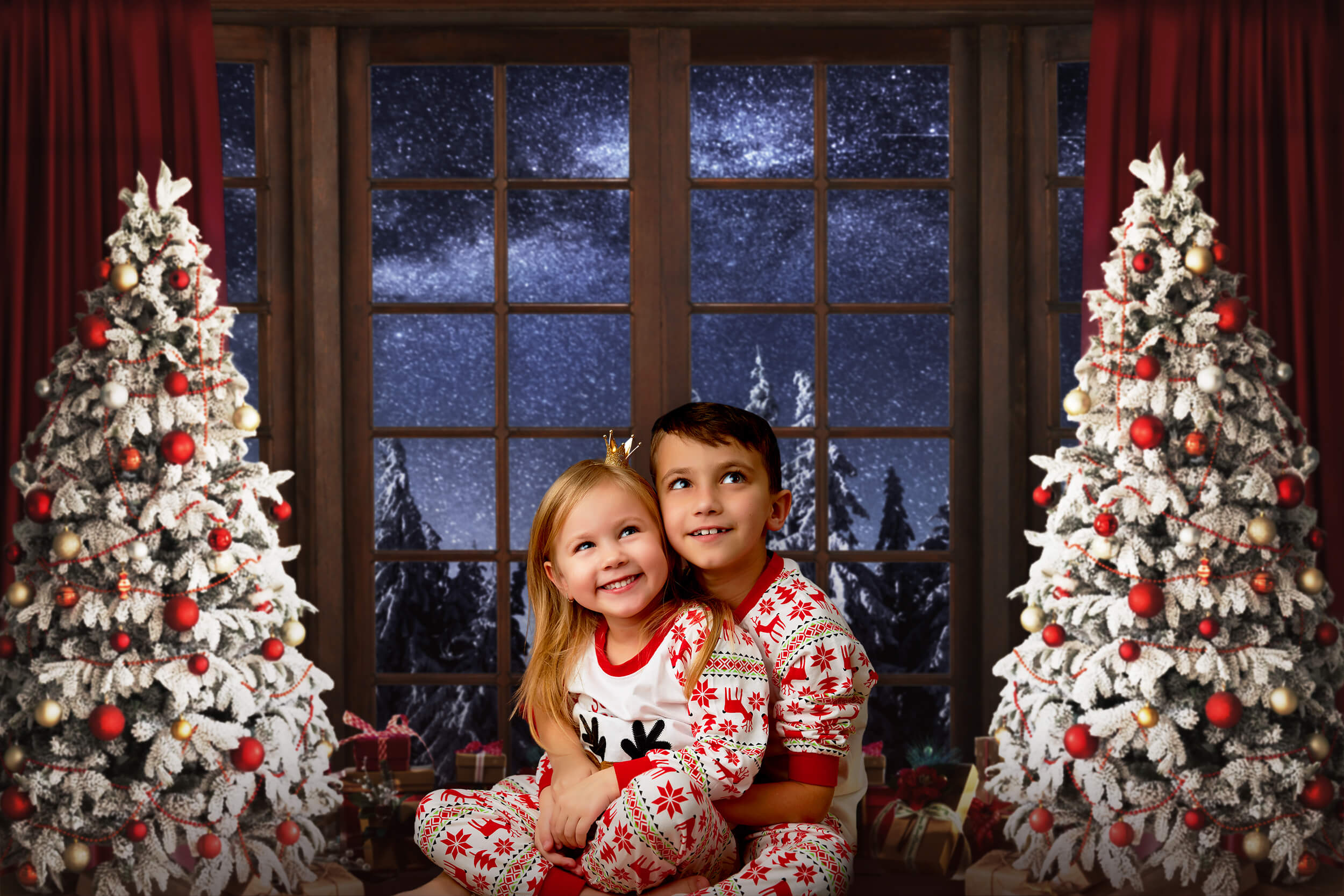 Toile de fond Arbre de Noël Fenêtre Forêt enneigée M9-20