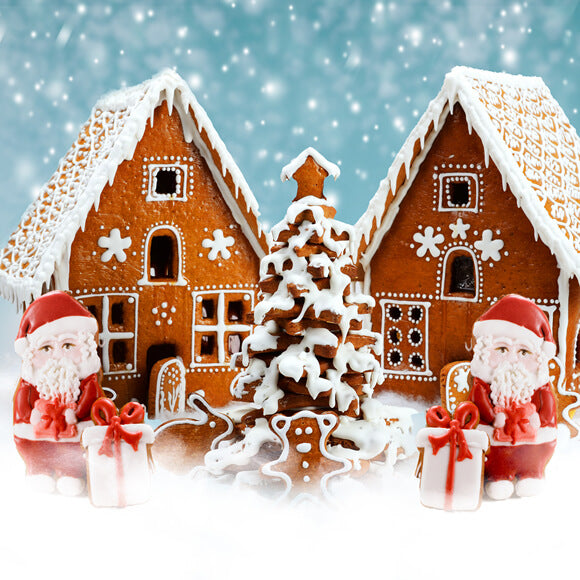 Toile de fond Maison en pain d'épices Flocon de neige de Noël M9-22