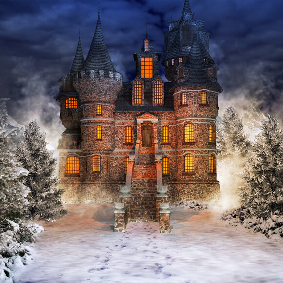 Toile de Fond Forêt Enneigée Château de Conte de Fées M9-40