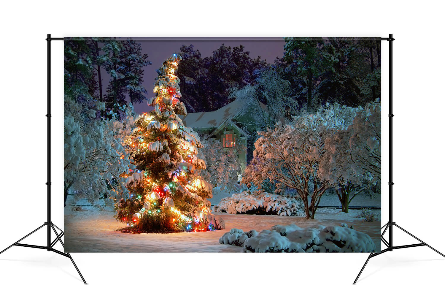 Toile de Fond Noël Arbre Etincelant Forêt Enneigée M9-75