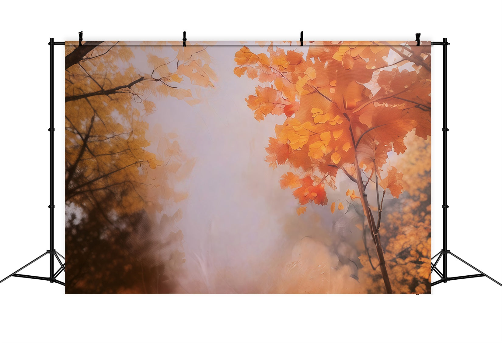 Fond automnal Feuilles d'automne dorées Fond photo automnal MRR10-55