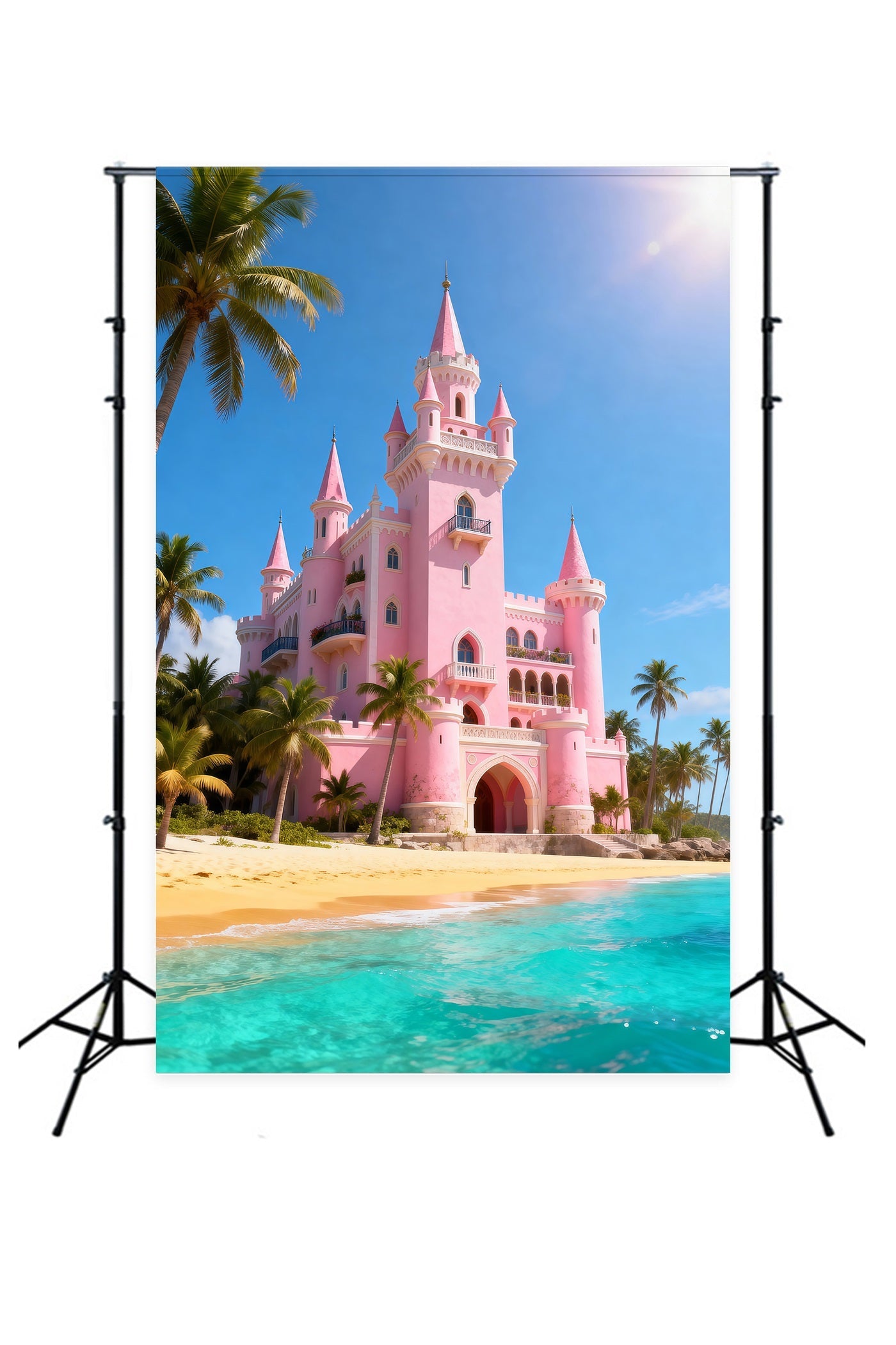 Fond Photo de Plage Château Rose Palmiers RR61-11