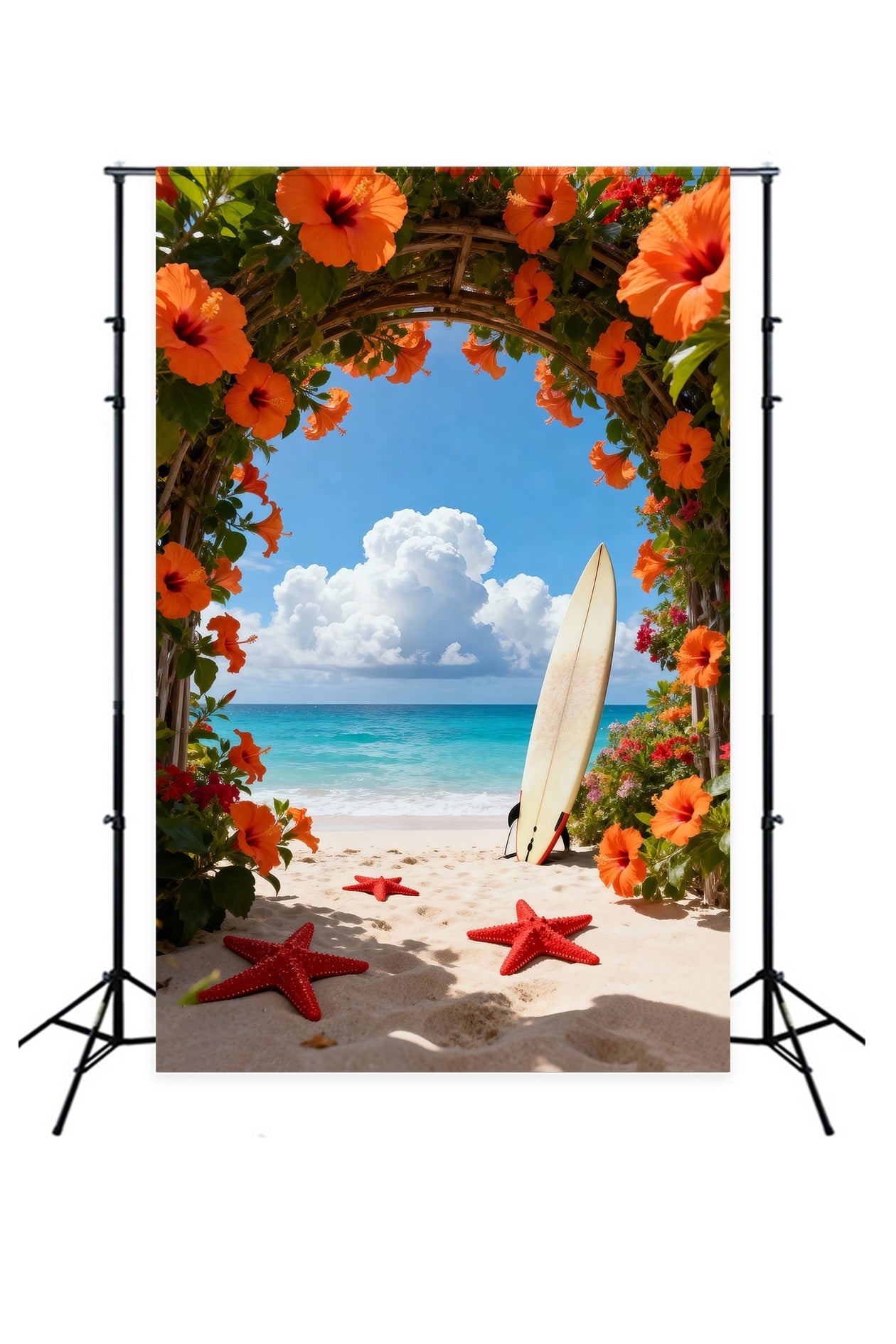 Fond Photo Plage Arche Fleurs Chemin Étoiles De Mer RR61-17
