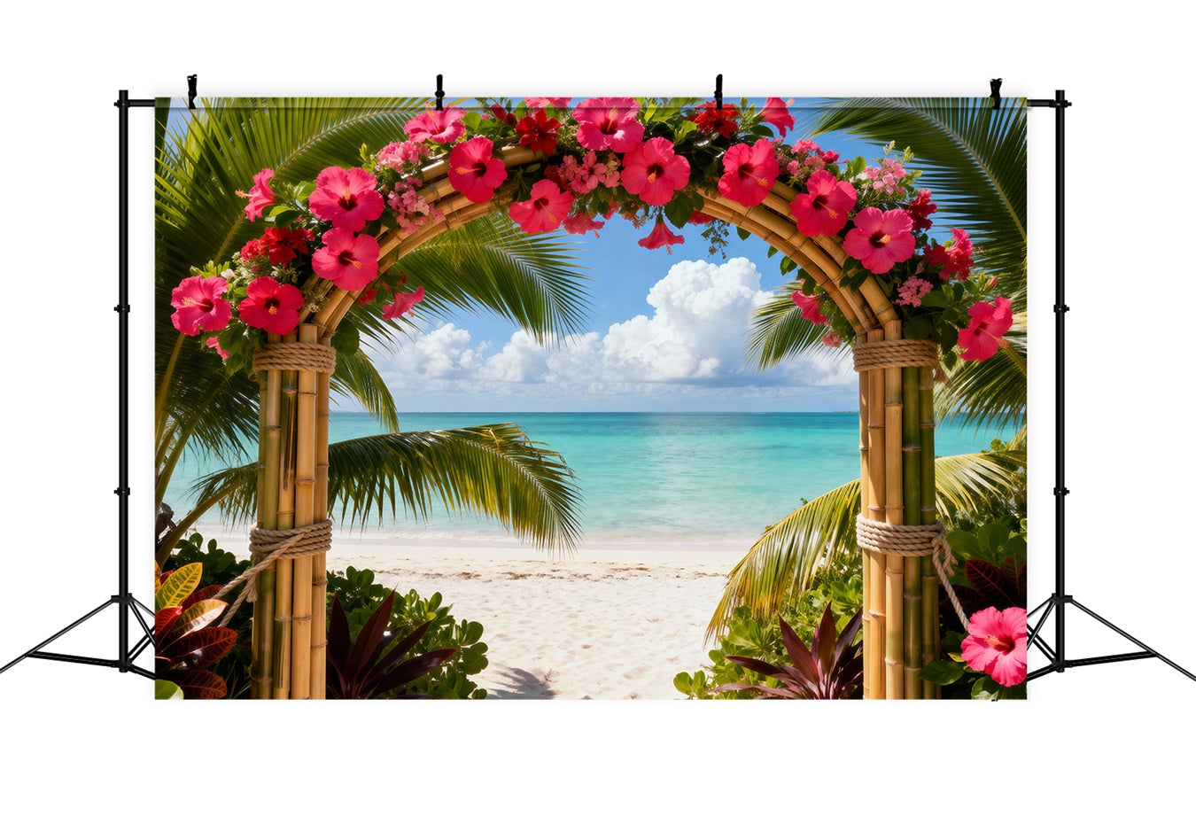 Fond Photo Plage Mer Arche Fleurs Hibiscus Tropical RR61-28