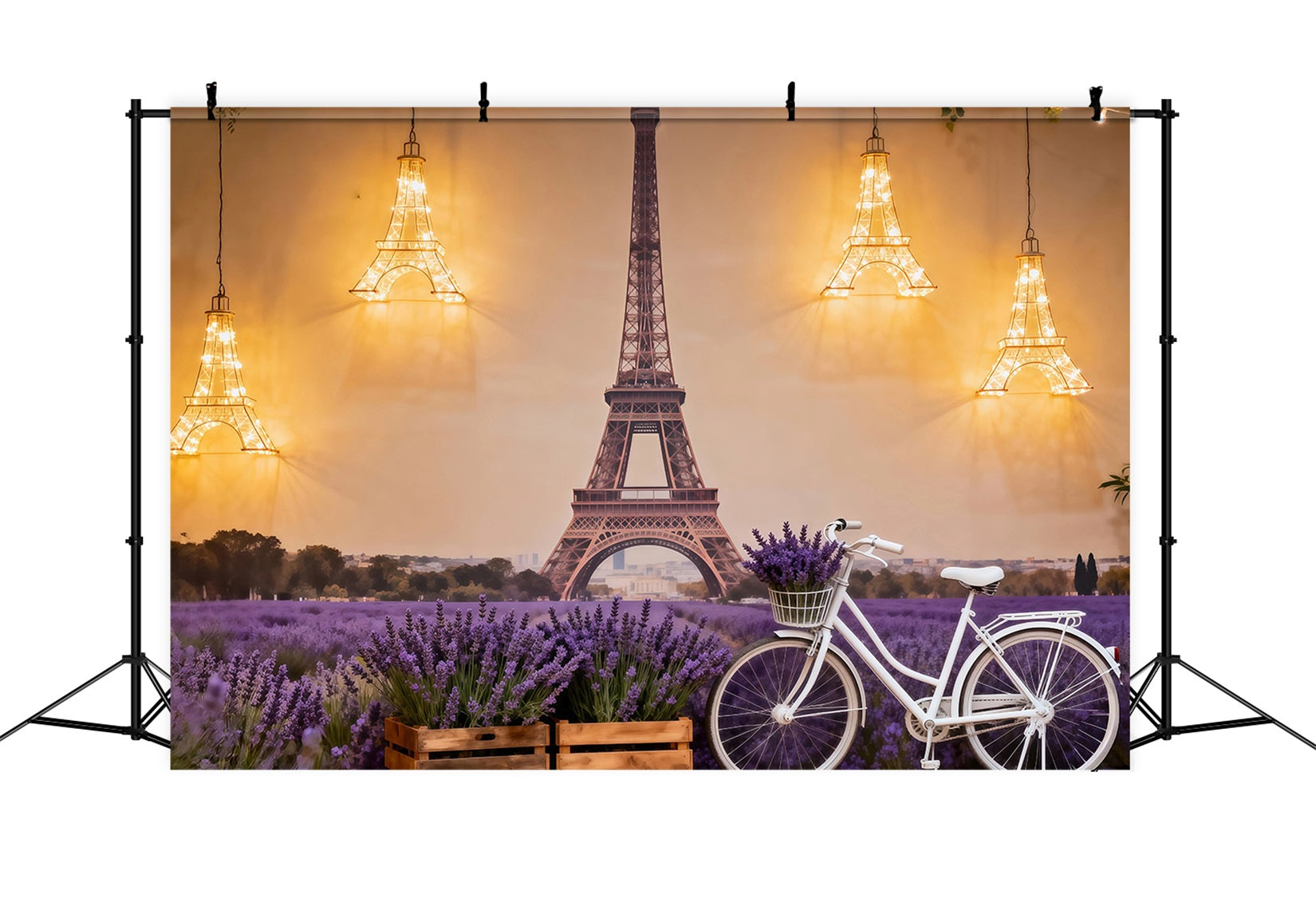 Toile de fond Photo Paris Champ Lavande Vélo Lueur RR61-51