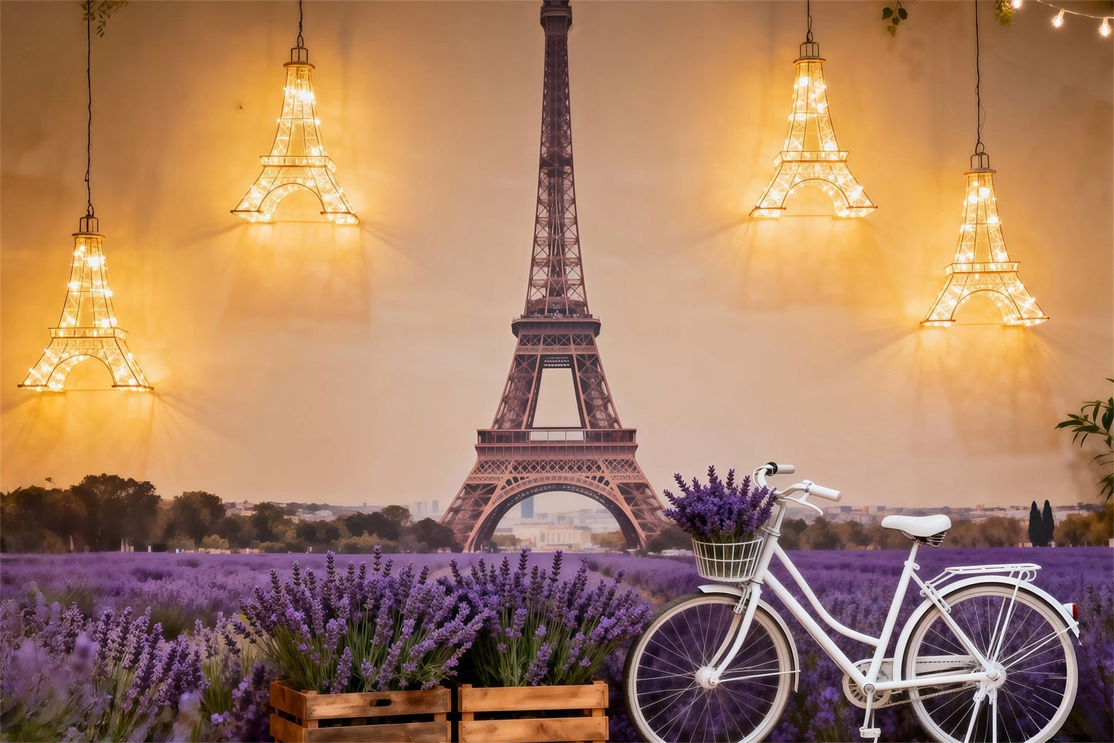 Toile de fond Photo Paris Champ Lavande Vélo Lueur RR61-51