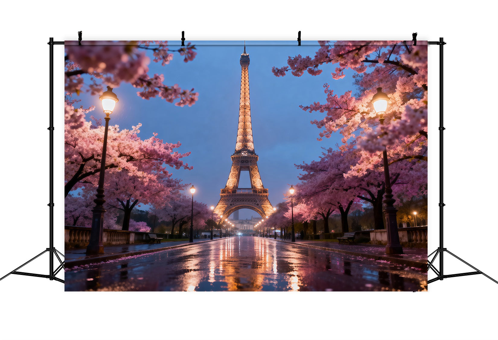 Toile de fond Tour Eiffel Promenade Soir Fleurs Cerisier RR61-57