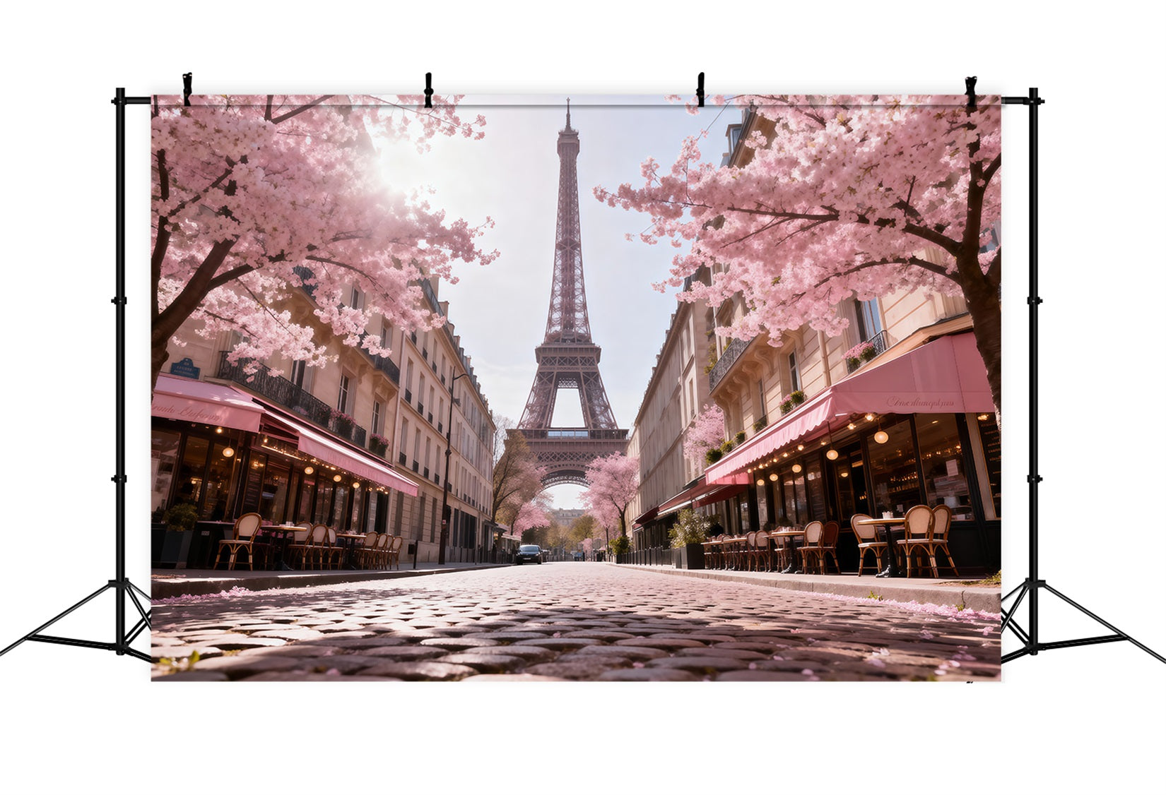 Toile de fond Paris Rue Café Fleurs Matin RR61-61