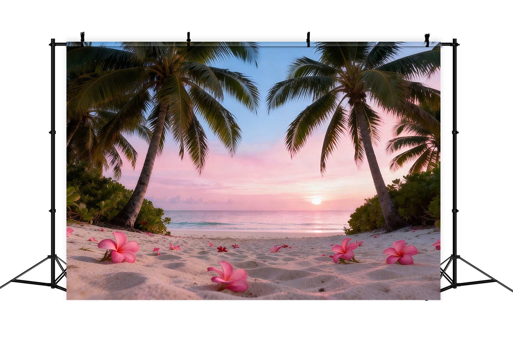 Fond Photo Plage Fleurs Frangipanier Coucher De Soleil RR61-9