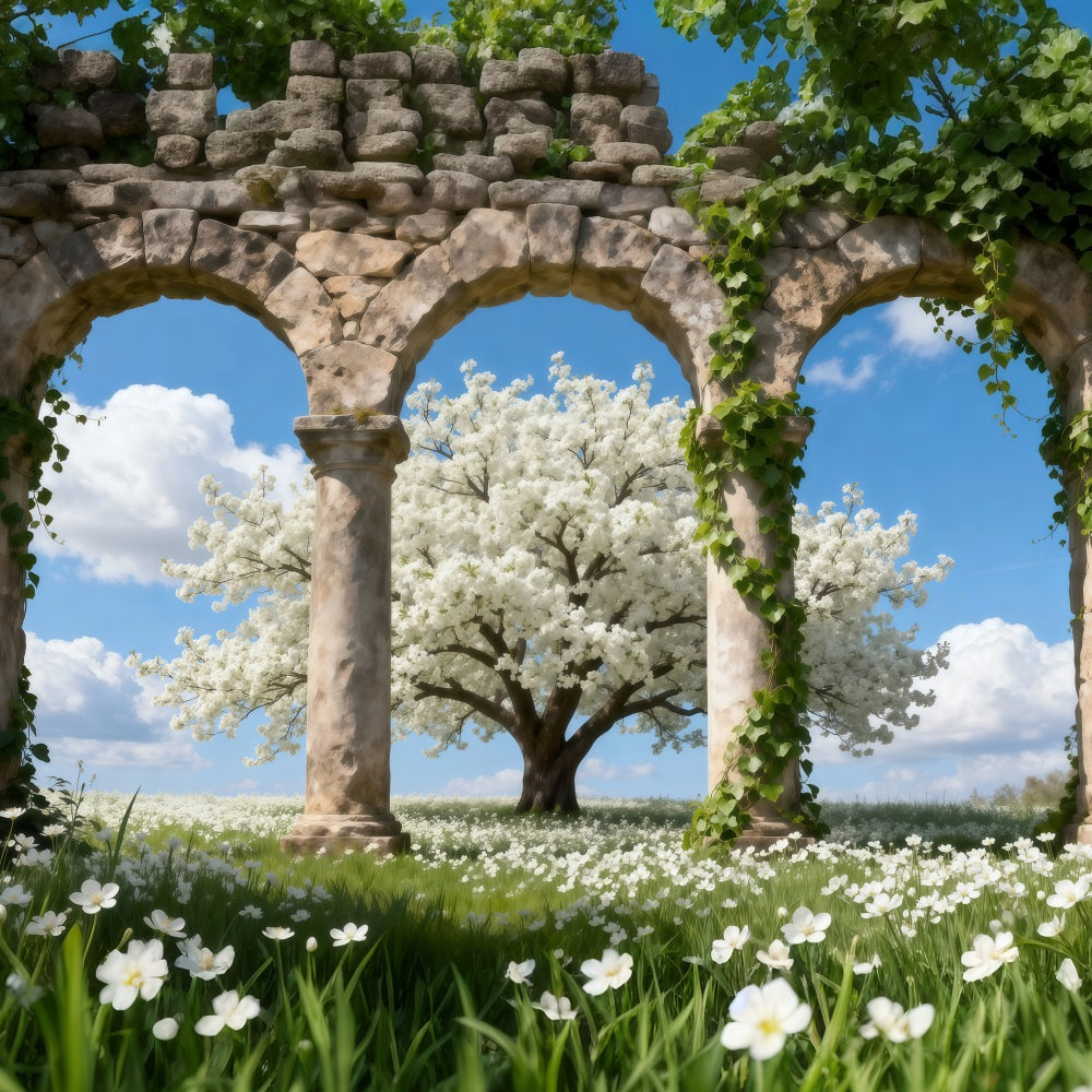 Fond Photo Cerisier en Fleurs Triple Arche Pierre Nuages RR62-49