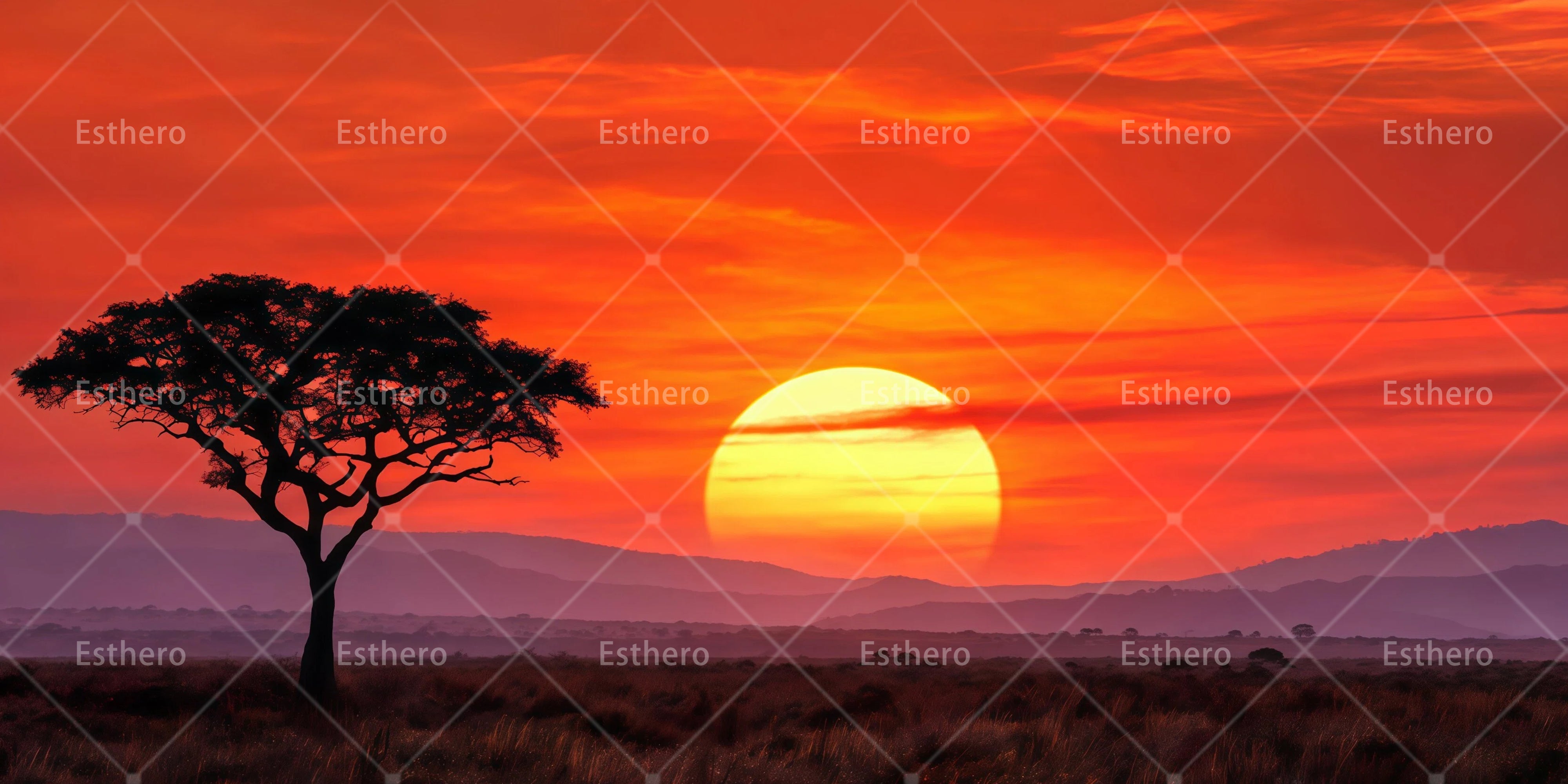 Toile de fond lever de soleil africain décor de théâtre RR65-T27
