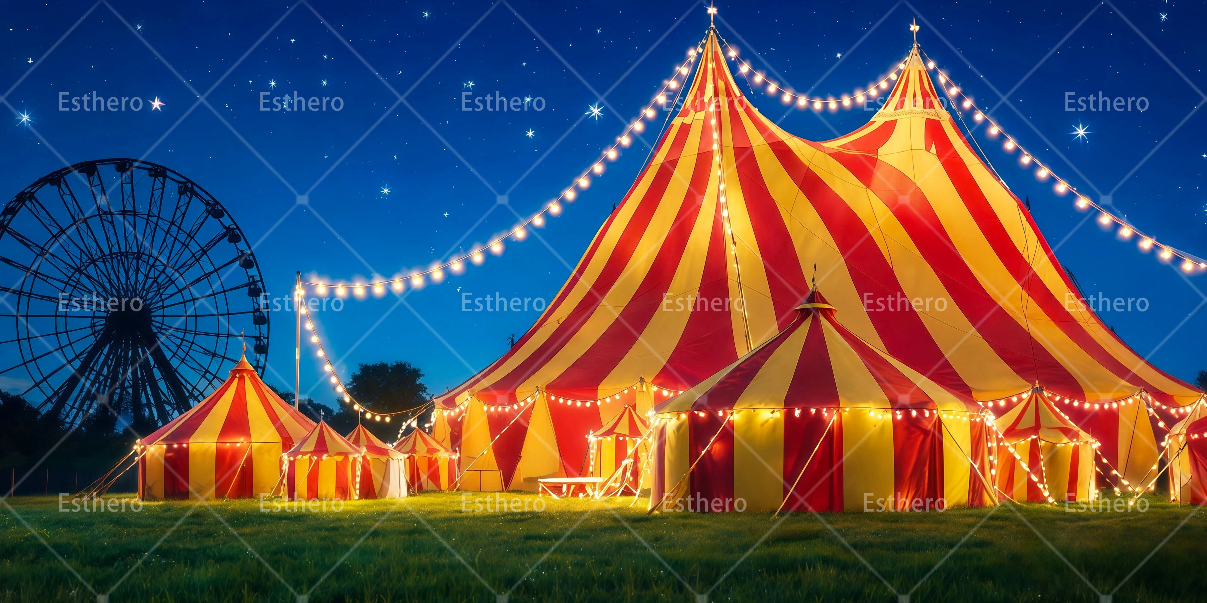 Toile de fond cirque de nuit spectacle scolaire RR65-T60
