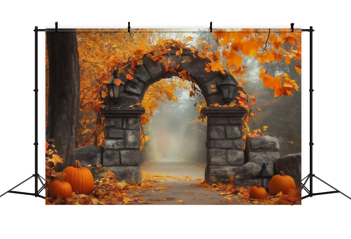 Décor D'Automne Avec Citrouilles Et Feuilles Portail En Pierre Toile De Fond Pour Photographie Halloween RR67-200